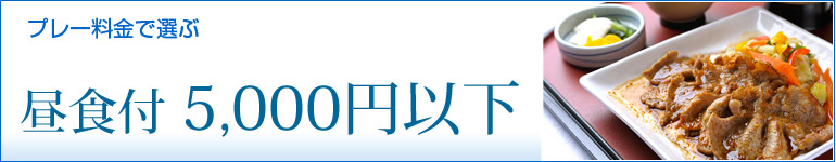 昼食付　5,000円以下！
