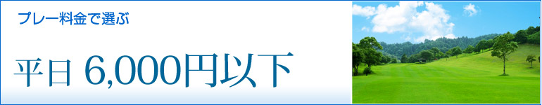 平日　6,000円以下！