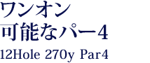 ワンオン可能なパー4≪12Hole 270y Par4≫