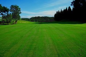 秋田県・秋田森岳温泉36ゴルフ場