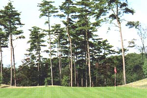 福島県・白河国際カントリークラブ