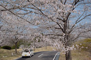 茨城県・鷹彦スリーカントリー