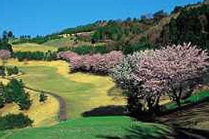 神奈川県・太平洋クラブ相模コース