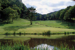 長野県・アルプスグリーン