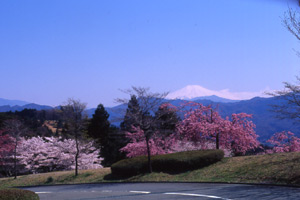 山梨県・大月カントリークラブ