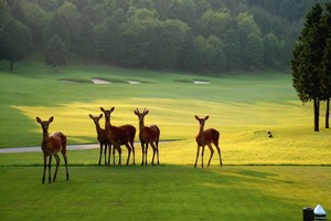 静岡県・ファイブハンドレッドクラブ