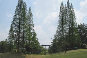 岐阜県・愛岐カントリークラブ