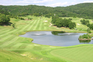 岐阜県・デイリー瑞浪カントリー倶楽部