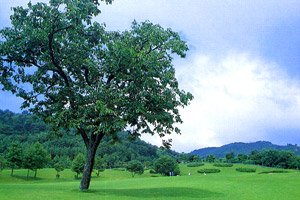 兵庫県・赤穂カンツリークラブ