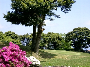 兵庫県・城崎カンツリークラブ