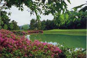 兵庫県・パインレークゴルフクラブ