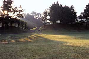 奈良県・八重桜カントリークラブ