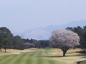 熊本県・くまもと中央カントリークラブ