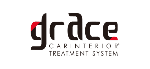 CARINTERIOR TREATMENT SYSTEM grace