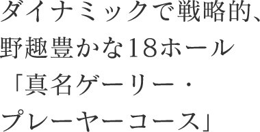 ダイナミックで戦略的、野趣豊かな18ホール
          「真名ゲーリー・プレーヤーコース」