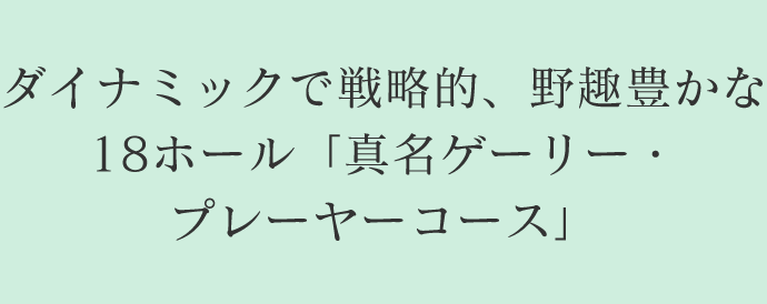 ダイナミックで戦略的、野趣豊かな18ホール
          「真名ゲーリー・プレーヤーコース」