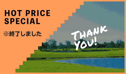 HOT PRICE SPECIAL Thank You！