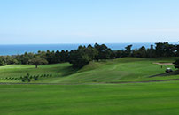 日立ゴルフクラブ