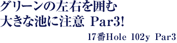 グリーンの左右を囲む大きな池に注意 Par3！17番Hole 102ｙ Par3