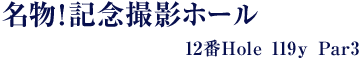 名物！記念撮影ホール　12番Hole 119ｙ Par3