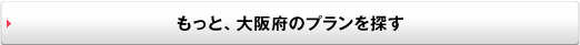 もっと、大阪府のプランを探す