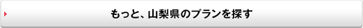 もっと、山梨県のプランを探す