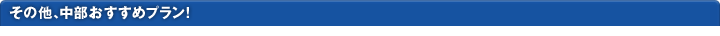 中部おすすめプラン！