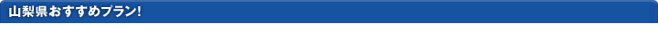山梨県おすすめプラン！