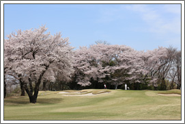 桜ヶ丘カントリークラブ