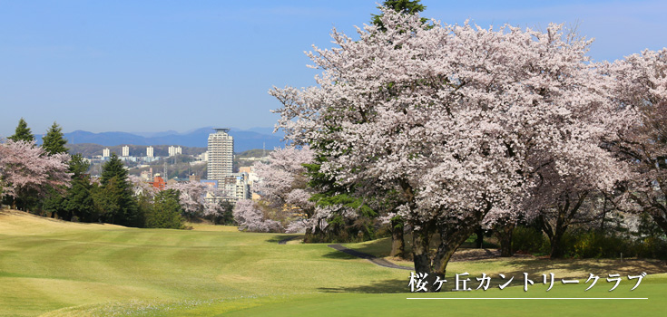 桜ヶ丘カントリークラブ