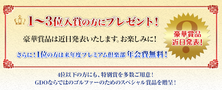 プレミアムポイントランキング