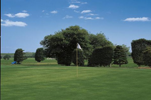 �����J���g���[�N���u [ �򕌌������S������ ]