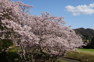 【広島県】広島安佐ゴルフクラブ（広島中央ゴルフクラブ）