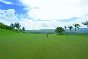 オンワードタロフォフォゴルフクラブ