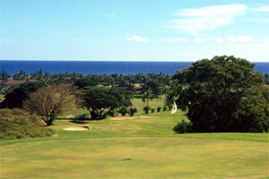 ハワイカイ・エグゼクティブコース