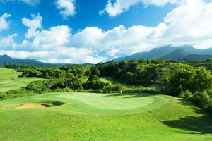 プリンスビル　プリンスコース