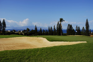 ロイヤル・カアナパリ　コース