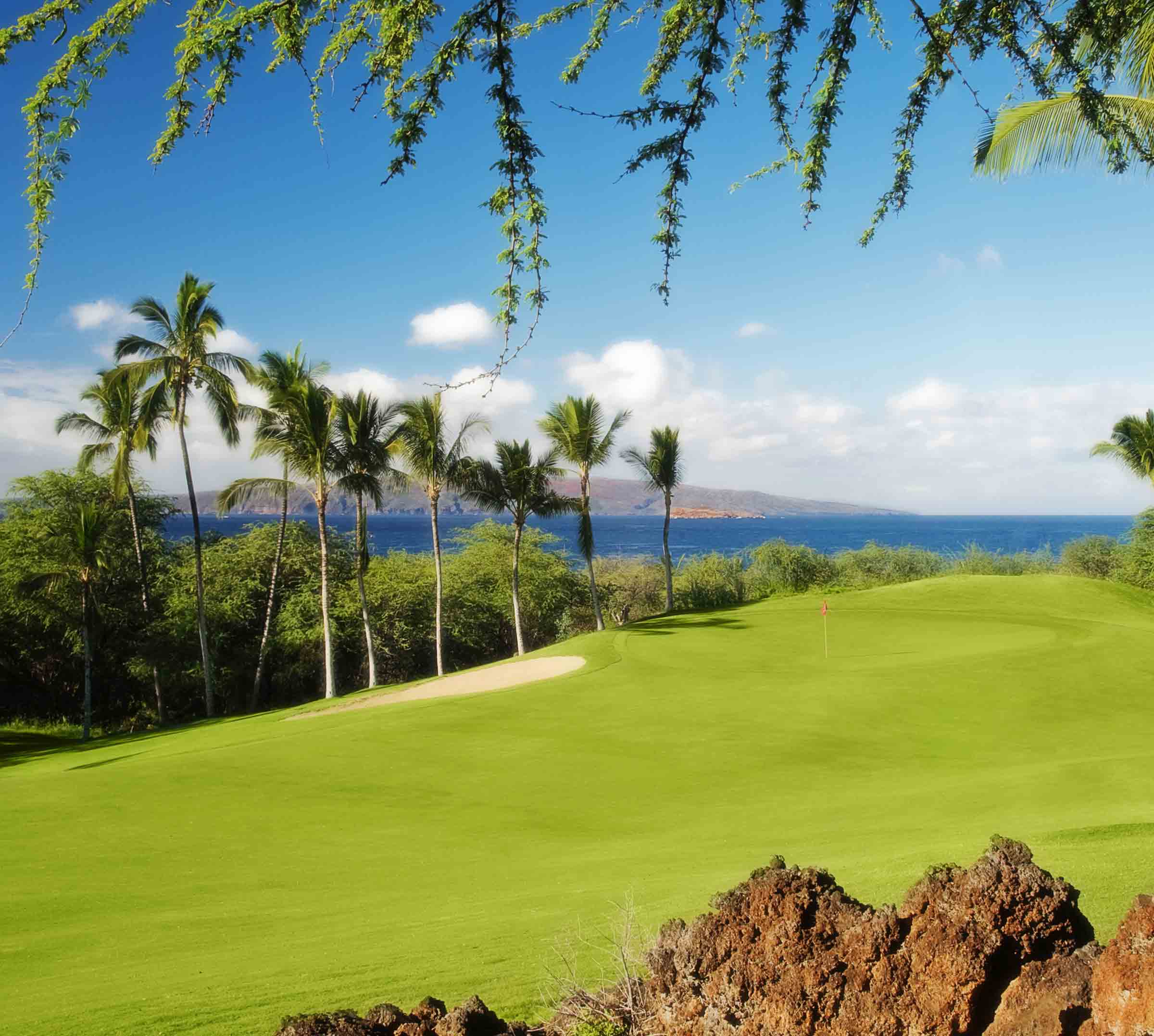 ワイレア・エメラルド　コース