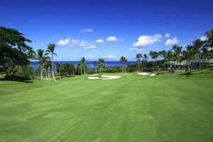 ワイレア・ゴールド　コース