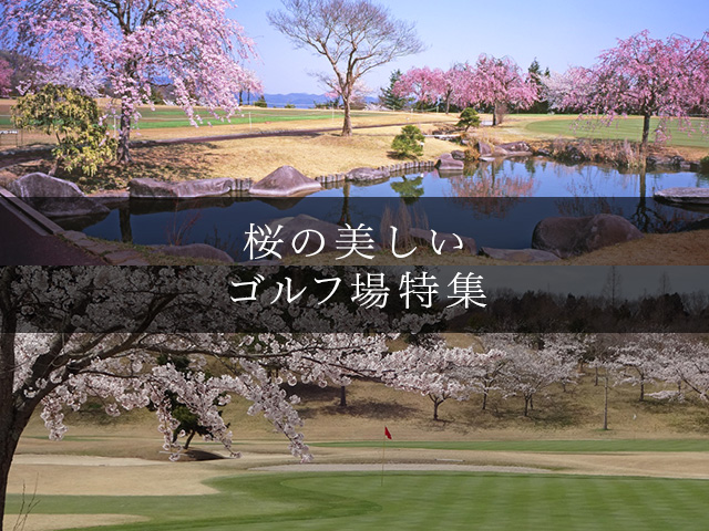 お花見ゴルフに行こう！ 桜の美しいゴルフ場特集