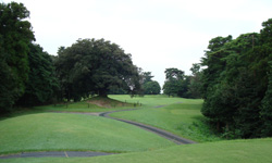 名物ホール17番Par3