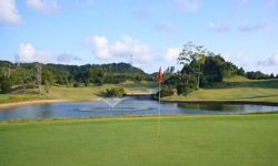 名物ホール　18番 Par5