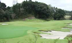 名物ホール　インコースNo15　PAR5