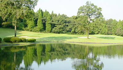 名物ホール　2番　140y　Par3