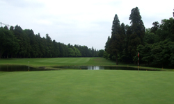 名物ホール　4番PAR5