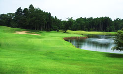 名物ホール16番Par3