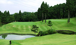 名物ホールAコース7番Par3