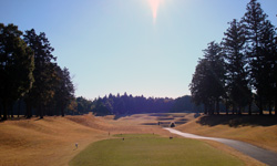 名物ホール No.12 Par4