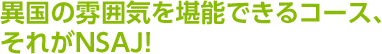 異国の雰囲気を堪能できるコース、それがNSAJ！