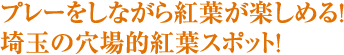 プレーをしながら紅葉が楽しめる！埼玉の穴場的紅葉スポット！